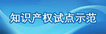 知识产权试点示范