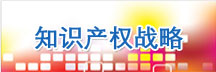 知识产权战略